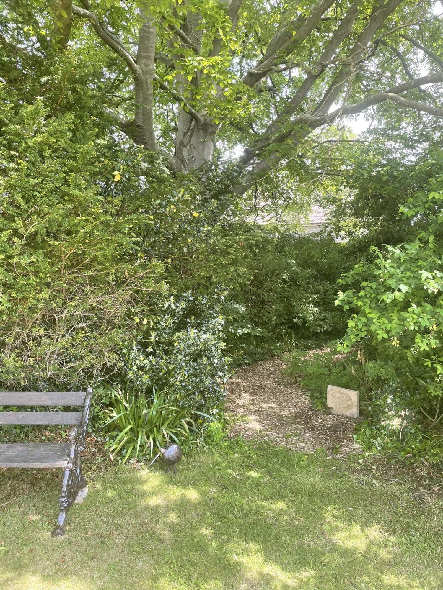 The Mount Somerton Retreat - Nr Bruton, Glastonbury, The Spectacular Wells Cathedral, Millfield School, Leonardo Helicopters, Yeovilton Exteriör bild