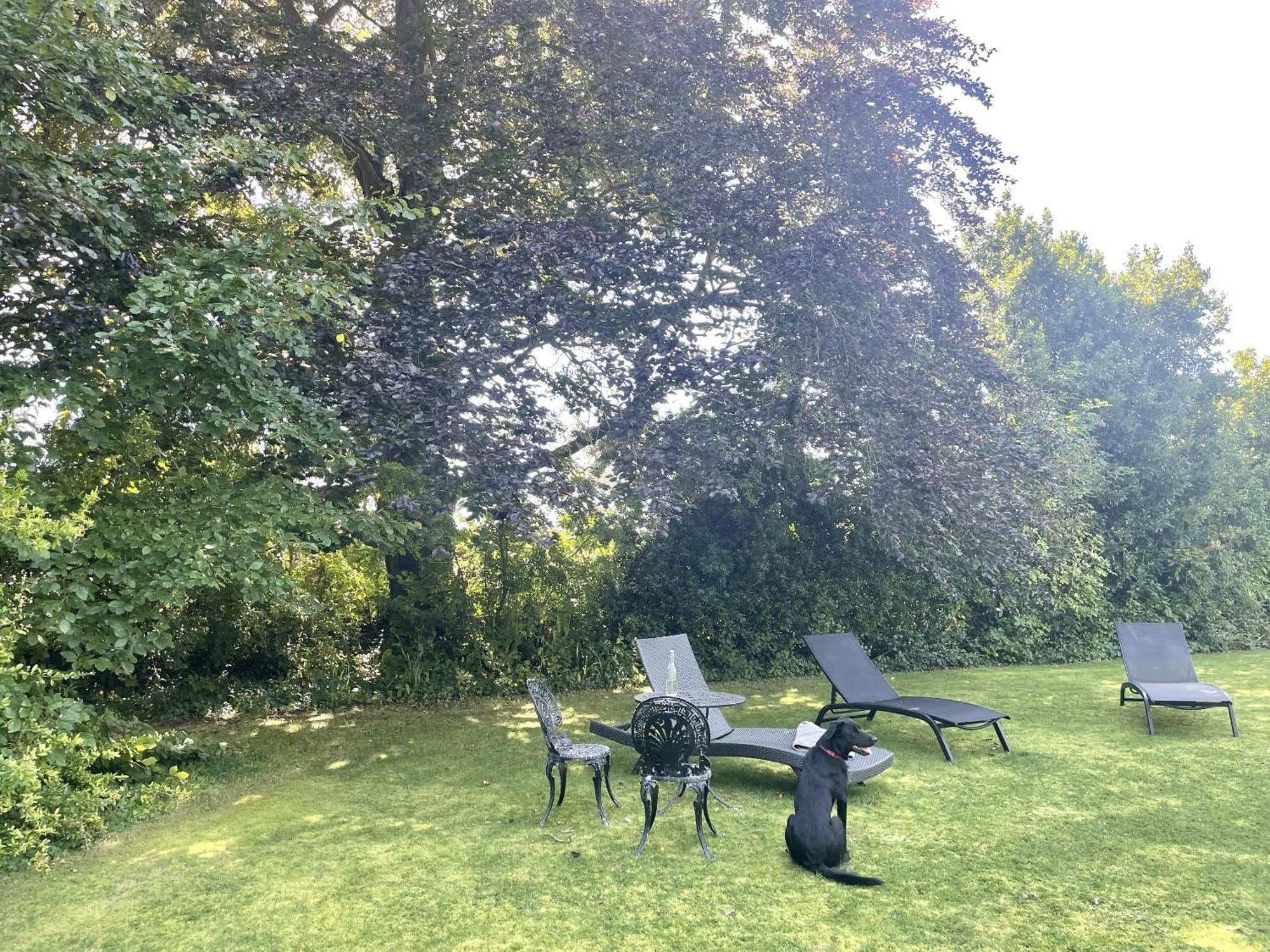 The Mount Somerton Retreat - Nr Bruton, Glastonbury, The Spectacular Wells Cathedral, Millfield School, Leonardo Helicopters, Yeovilton Exteriör bild